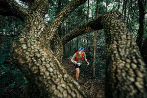 BIB: 
                            <button type="button" onclick="openModal(25394127)" class="btn btn-primary btn-sm float-right btn-popup" data-toggle="modal" data-target=".modal-high-quality">
                        <i class="fas fa-shopping-cart"></i> Add to Cart
                    </button>
                                            <button type="button" onclick="isThisMe(25394127, true)" class="btn btn-success btn-sm float-right btn-popup btn-isme hidden" data-toggle="tooltip" data-placement="bottom" title="นี่คือรูปของคุณใช่ไหม คลิกที่นี่เพื่อเอาเข้าอัลบั้ม">
                        <i class="fas fa-plus"></i> Add to album
                    </button>
                    <button type="button" onclick="isThisMe(25394127, false)" class="btn btn-warning btn-sm float-right btn-popup btn-isnotme hidden">
                        <i class="fas fa-ban"></i> Remove from album
                    </button>